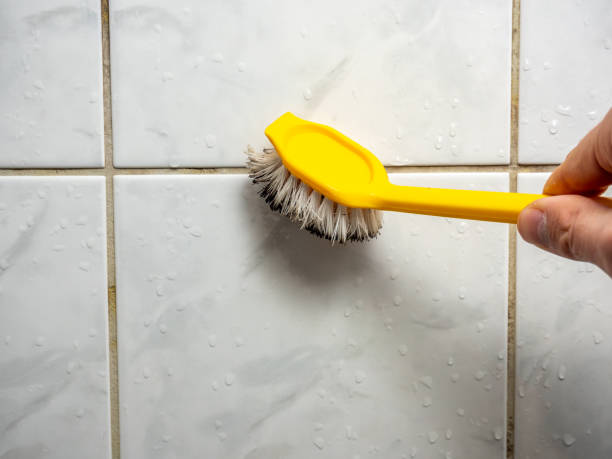 Best Mold Inspection  in Mledgevle, IL