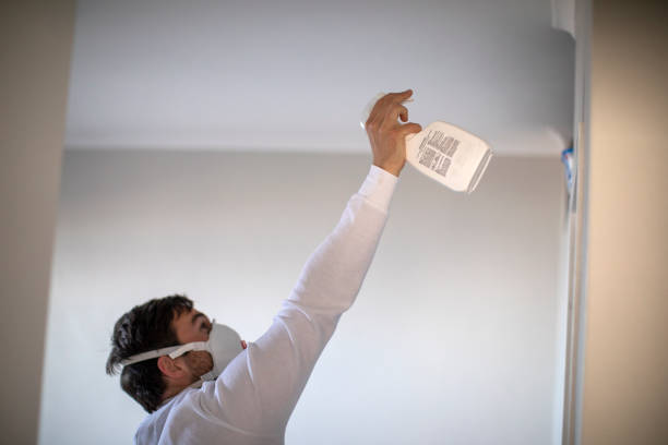 Best Mold Removal Near Me  in Mledgevle, IL