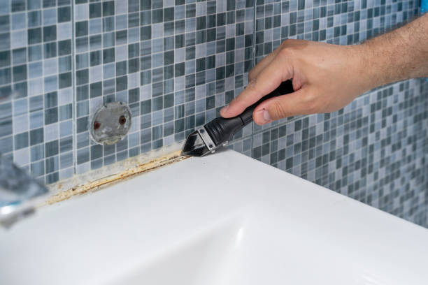 Best Mold Remediation  in Mledgevle, IL