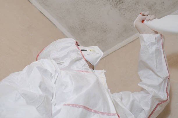 Best Home Mold Removal  in Mledgevle, IL